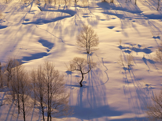 48109 (a): :1600x1200